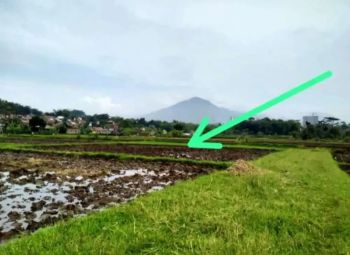 Tanah kavling murah komplek korpri jatinangor luas 575 m²