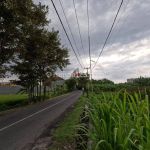 thumbnail-disewakan-tanah-900-m2-pinggir-jalan-utama-5