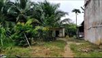 thumbnail-dijual-tanah-kebun-beserta-rumah-walet-lokasi-tanjung-pura-langkat-3