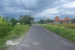 thumbnail-disewakan-tanah-murah-di-jalan-pererenan-canggu-badung-bali-1