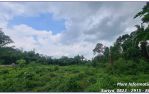 thumbnail-jual-tanah-kalasan-dekat-uii-4