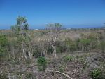 thumbnail-tanah-strategis-dgn-view-pantai-di-kampial-ocean-blue-benoa-bali-2