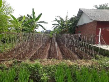 Dijual Murah kavling siap bangun