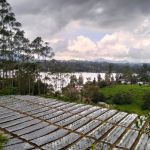 thumbnail-dijual-tanah-padat-view-danau-situ-cileunca-pangalengan-bandung-4