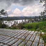 thumbnail-dijual-tanah-padat-view-danau-situ-cileunca-pangalengan-bandung-0