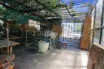 thumbnail-disewakan-ruang-usaha-ex-cafe-dan-butik-gunung-salak-bali-5