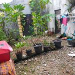 thumbnail-rumah-secondary-dalam-komplek-nyaman-dan-bersih-di-duren-sawit-6