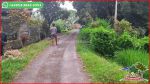 thumbnail-view-sawah-dan-kebun-luas-6835-m2-di-selemadeg-barat-5