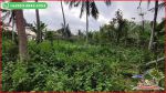 thumbnail-view-sawah-dan-kebun-luas-6835-m2-di-selemadeg-barat-7