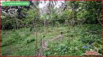 thumbnail-view-sawah-dan-kebun-luas-6835-m2-di-selemadeg-barat-3