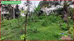 thumbnail-view-sawah-dan-kebun-luas-6835-m2-di-selemadeg-barat-2