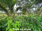 thumbnail-tanah-murah-di-pinggir-jalan-raya-pantai-carita-3