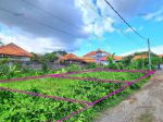 thumbnail-jual-tanah-batur-sari-sanur-lt-459-m2-5