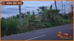 thumbnail-400-are-lahan-dijual-pinggir-jalan-dengan-view-sawah-dan-gunung-7