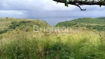 Jual Tanah 3794 Are Sekartaji Nusa Penida Klungkung Cocok Untuk Investasi