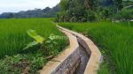 thumbnail-tanah-di-desa-ciapus-banjaran-1193-m2-sawah-aktif-4