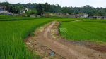 thumbnail-tanah-di-desa-ciapus-banjaran-1193-m2-sawah-aktif-5