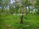 thumbnail-tanah-seluas-497-are-berlokasi-los-dengan-pantai-di-desa-pangyangan-kecamatan-3