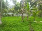 thumbnail-tanah-seluas-497-are-berlokasi-los-dengan-pantai-di-desa-pangyangan-kecamatan-2