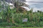 thumbnail-sewa-tanah-murah-jalan-surya-pontianak-selatan-1