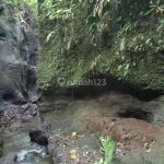 thumbnail-dijual-tanah-di-ubud-view-lembah-hutan-dan-sungai-4