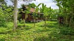 thumbnail-dijual-tanah-di-ubud-view-lembah-hutan-dan-sungai-12