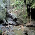 thumbnail-dijual-tanah-di-ubud-view-lembah-hutan-dan-sungai-1