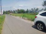 thumbnail-dekat-exit-tol-borobudur-prospek-buat-villaaaaaa-2