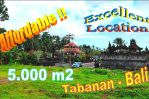 thumbnail-pinggir-jalan-aspal-5000-m2-tanah-kering-siap-bangun-0