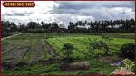 thumbnail-pinggir-jalan-aspal-5000-m2-tanah-kering-siap-bangun-4