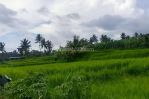 thumbnail-dijual-lahan-di-ubud-view-sawah-dan-sungai-kecil-8