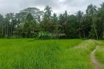 thumbnail-dijual-lahan-di-ubud-view-sawah-dan-sungai-kecil-9