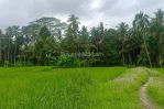 thumbnail-dijual-lahan-di-ubud-view-sawah-dan-sungai-kecil-13