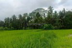 thumbnail-dijual-lahan-di-ubud-view-sawah-dan-sungai-kecil-10