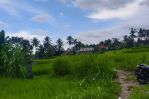 thumbnail-dijual-lahan-di-ubud-view-sawah-dan-sungai-kecil-7