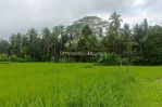 thumbnail-dijual-lahan-di-ubud-view-sawah-dan-sungai-kecil-0