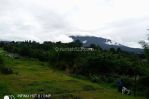 thumbnail-tanah-di-cisarua-puncak-bogor-3000-m2-kawasan-villa-2