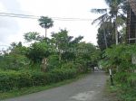 thumbnail-tanah-murah-sleman-tepi-jalan-aspal-harga-2-juta-an-4