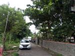 thumbnail-tanah-murah-sleman-tepi-jalan-aspal-harga-2-juta-an-6