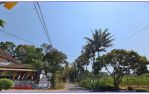 thumbnail-jual-tanah-harjobinangun-dekat-wisata-kaliurang-dekat-museum-merapi-3