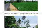 thumbnail-beautiful-127are1270m2-land-in-kedungu-yellow-zone-with-rice-paddy-view-1