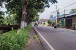 thumbnail-dijual-tanah-di-jalan-raya-bondowoso-situbondo-1