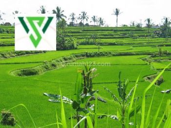 Tanah kavling murah 11jt/m wisata Bukit Mas Royal Residence
