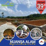 thumbnail-dijual-tanah-perkebunan-murah-8