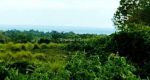 thumbnail-dijual-tanah-murah-harga-damai-800-meter-dari-pantai-soka-selemadeg-timur-bentuk-13