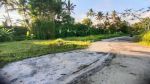 thumbnail-dijual-lahan-asri-dan-nyaman-di-ubud-view-jungle-dan-sawah-2