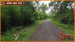 thumbnail-tanah-kering-siap-bangun-823-are-perkebunan-area-jembrana-bali-6