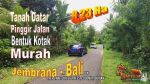 thumbnail-tanah-kering-siap-bangun-823-are-perkebunan-area-jembrana-bali-0