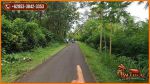 thumbnail-tanah-kering-siap-bangun-823-are-perkebunan-area-jembrana-bali-5