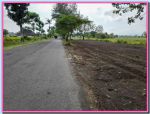 thumbnail-tanah-murah-sleman-kawasan-candi-prambanan-1